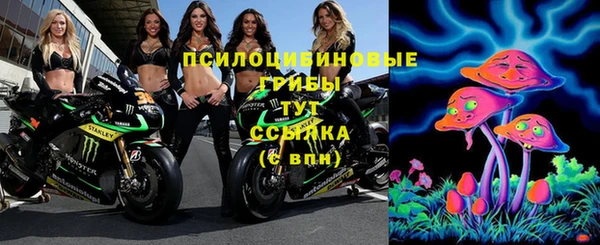 амф Балахна