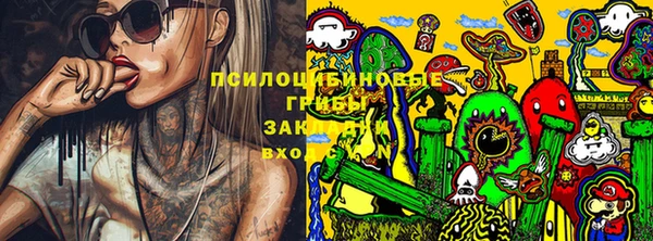 амф Балахна