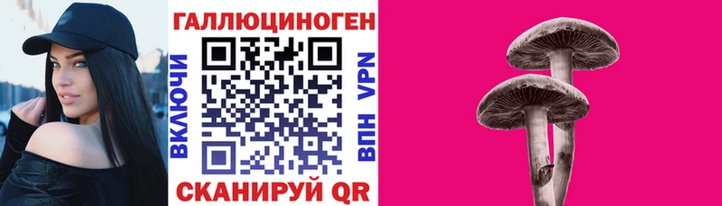 Галлюциногенные грибы MAGIC MUSHROOMS  Купить где  Данилов 